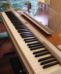 Yamaha P-155 Digital Piano